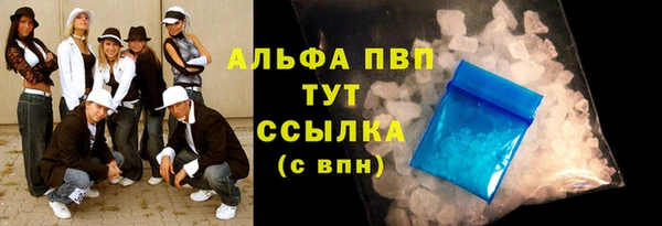 spice Богородицк