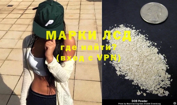 spice Богородицк
