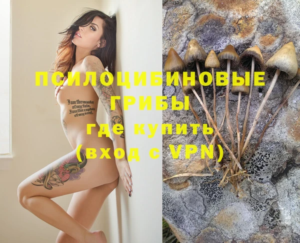 spice Богородицк