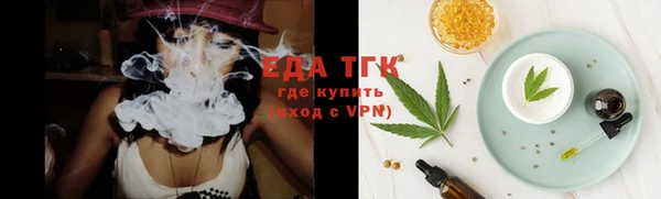 spice Богородицк