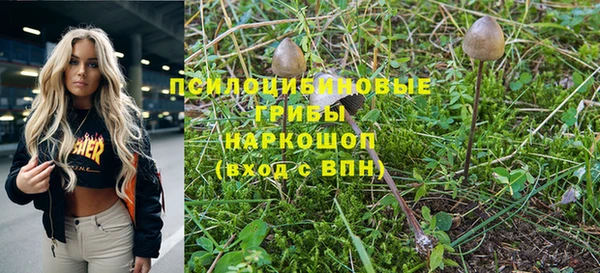 spice Богородицк
