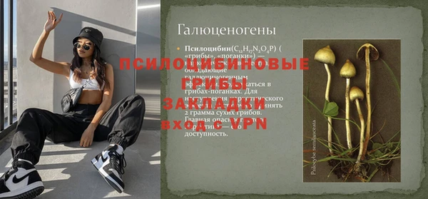 spice Богородицк