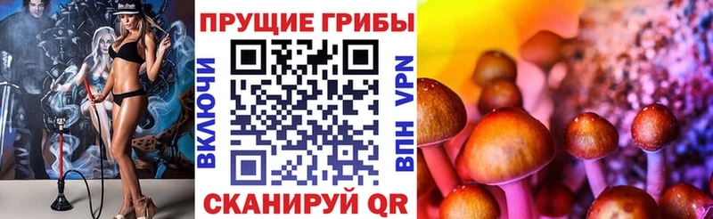 Псилоцибиновые грибы мухоморы Гай
