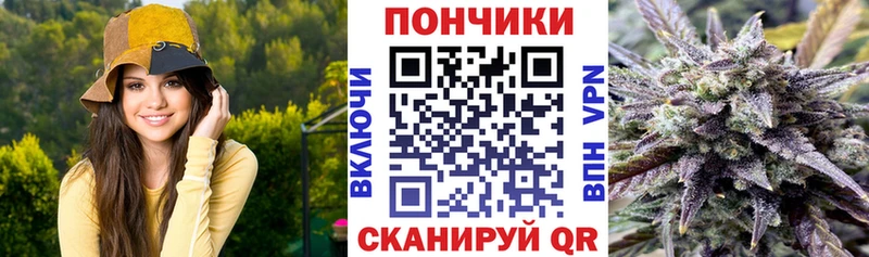 Бошки Шишки марихуана продажа наркотиков Гай